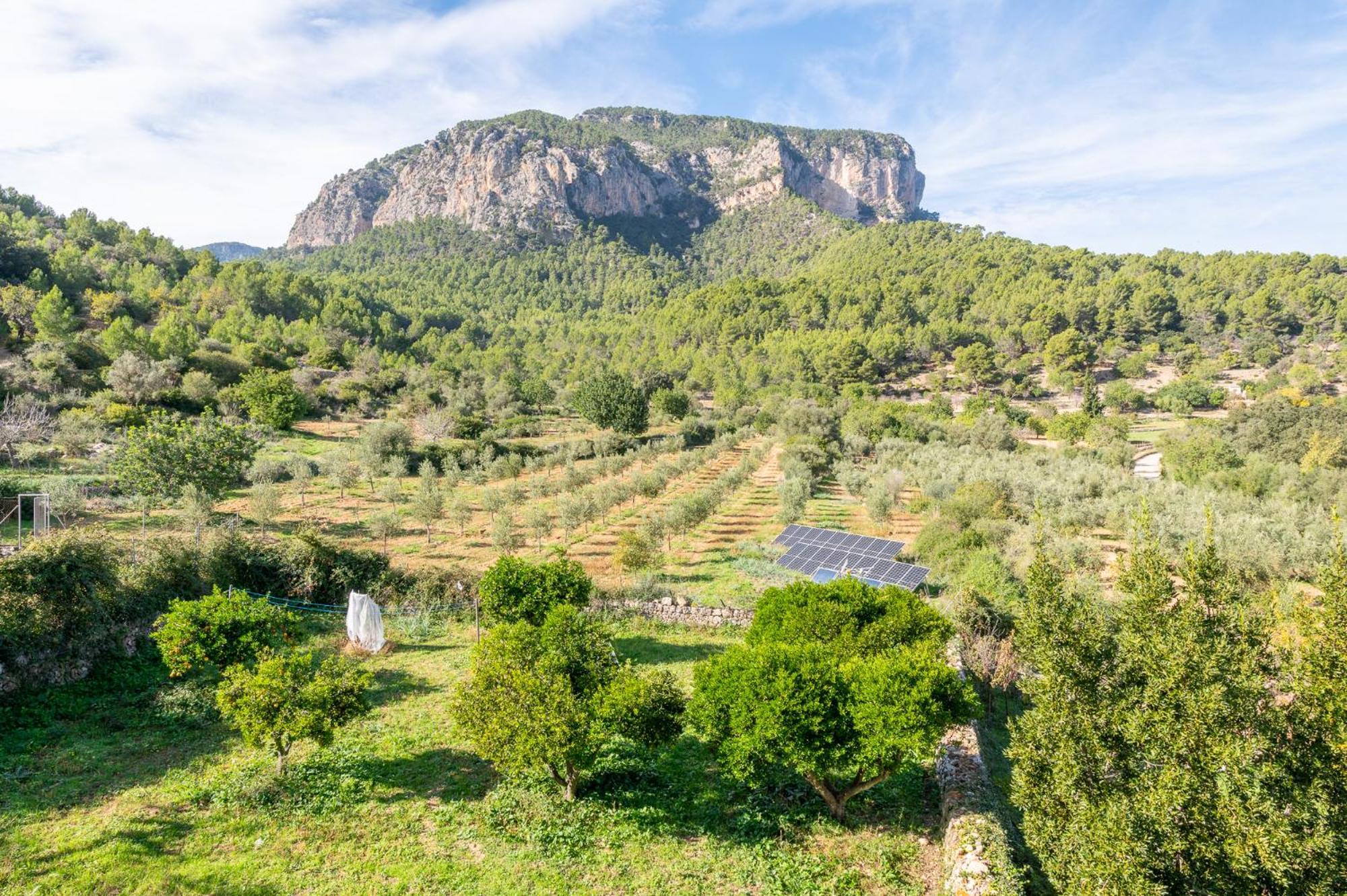 Villa Agroturismo Filicumis à Lloseta Extérieur photo